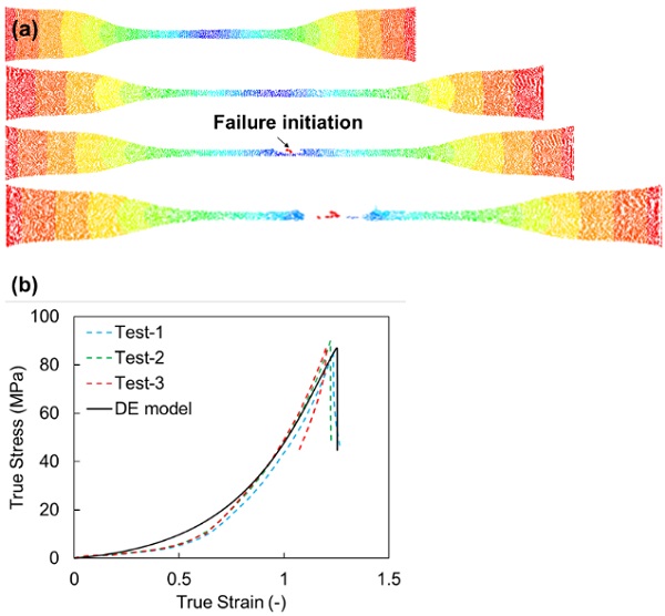 Fig. 2: Large deformation of UT numerical model and results validation. a) Tensile deformation and failure of numerical specimen. b) Validation on the true stress-strain relationships of PVB material.