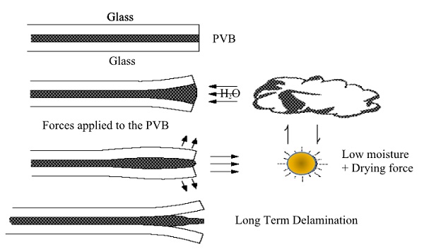 Fig2