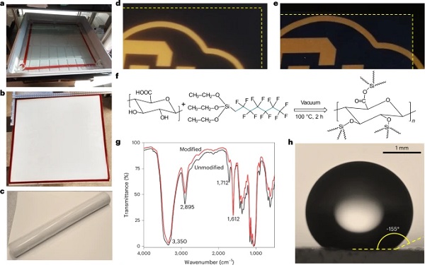 Fig. 2: Fabrication of superhydrophobic SiCellAs at window scales.