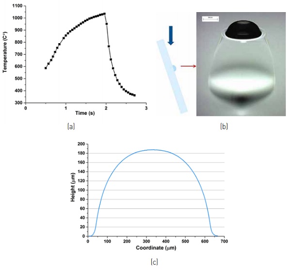 Figure 2: (a)Typical temperature dynamics of the bump vs. time as measured with a thermal camera; (b) Microscope photo of a ~190 µm bump (side view, 200 µm marker); (c) bump profile.