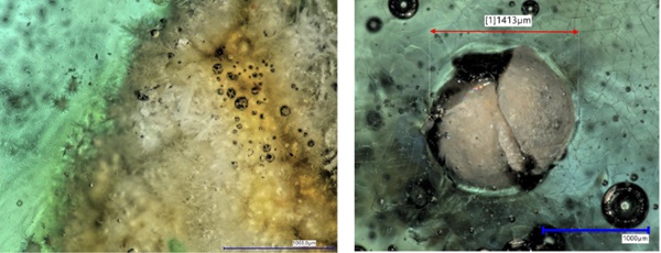 Fig. 30: Crystalline inclusions in recycled glass samples from car windshield waste cullet (left) and refrigerator glass (right).