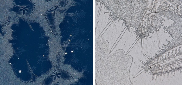 Fig. 34: Formation of crystalline structures at the top surface of kiln-cast glass samples.