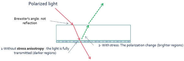 Figure 3 Illustration of the revelation of darker and brighter regions reveled by the anisotropy pattern