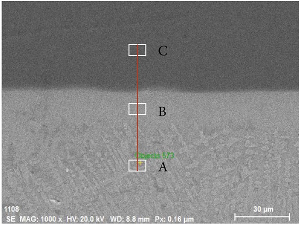 Figure 3 Location of the EDS line scanning test.