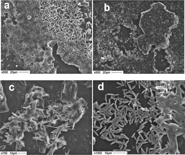 Fig. 3. SEM/EDX photographs of glass surfaces after 12 months weathering in outdoor environment (a–b) weathering products overlaying major portions of the glazing surfaces; (c–d) formation of single crystals consisting of syngenetic products [70].