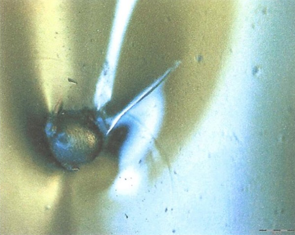 Figure 3 NiS inclusion with intact surface. Photograph taken on breakage mirror after spontaneous breakage. Notched surface structure from crystallization of NiSx of c. ±(1. . .10) μm is clearly visible. No trace of adhering NiSx is visible or detectable by e.g. EDX in the hollow. calotte.