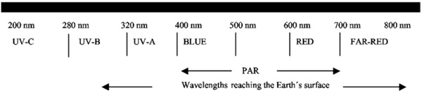 Figure 3: Photosynthetically Active Radiation.