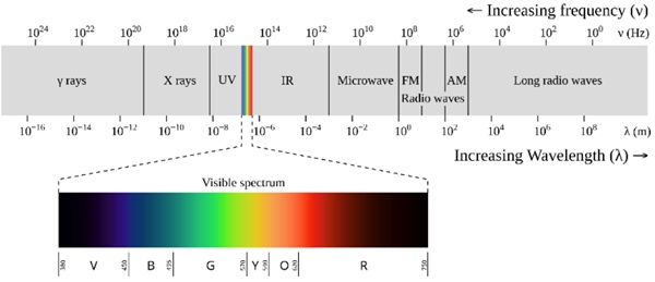 Fig. 3: The electromagnetic spectrum (visible portion highlighted). The bottom graph (visible spectrum) is wavelength in units of nanometres (nm). Retrieved from Philip Ronan, CC BY-SA 3.0, https://commons.wikimedia.org/w/index.php?curid=2521356.