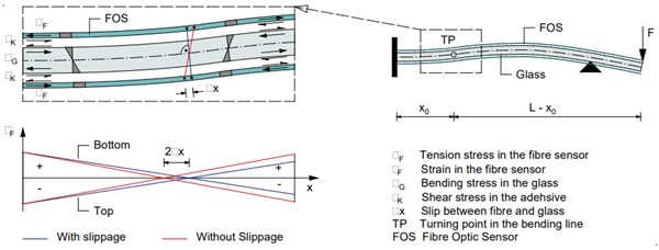 Fig. 3: Principle of fibre-adhesive-interaction. Tension strain on the glass surface causes slipping between fibre and glass surface. Depending on the stiffness of the adhesive, a variable slippage ∆x occurs.