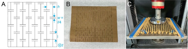 Fig. 3: Fabrication and testing process for paper kirigami. (A) Pattern showing critical dimensions h, w, l, and t. (B) Sheet paper sample after cutting on a laser cutter. (C) Activated sample in experimental setup for paper compression testing.