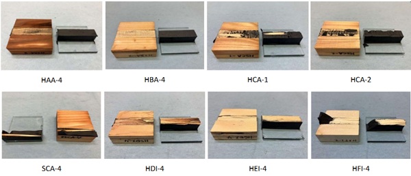 Fig. 3: Conditions of the specimens after testing.