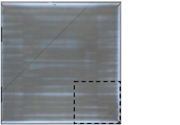 Figure 3. Anisotropy pattern of a 4 mm glass with a dark-field polariscope. Area for SCALP measurements is shown with dashed lines. Glass moving direction has been from right to left. 