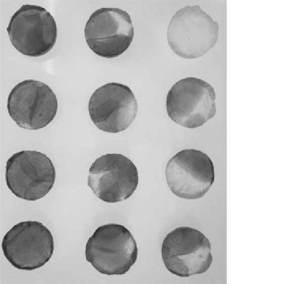 Fig 4: Testing CRT cast in combination with Cristalica casting glass