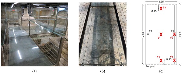 Figure 5. Case-study LG slab: (a) walkway (Crypt) and (b) reference LGU module, with (c) dimensions in m.