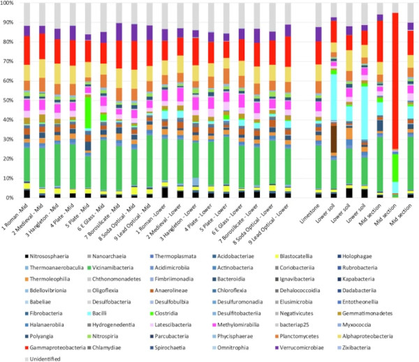 Fig. 5: Microbial community analysis at the class level.