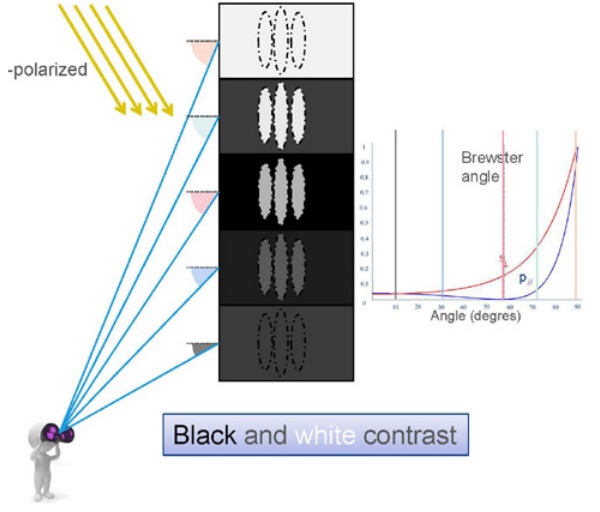 Figure 5 Perception vs. Observation angle