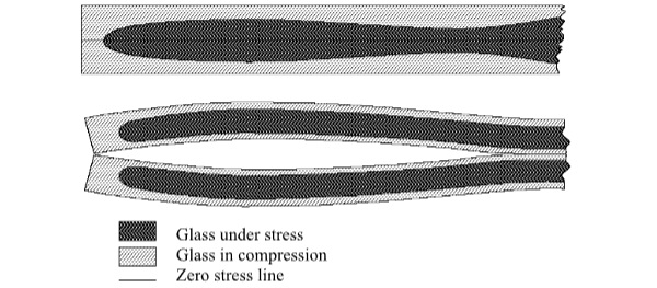 Fig6