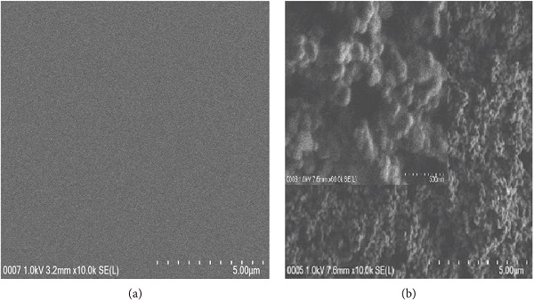 Figure 6   (a) The surface morphology of bare glass surface and (b) the surface morphology of TiO2/PDMS coating under magnification of 5 μm and 500 nm.