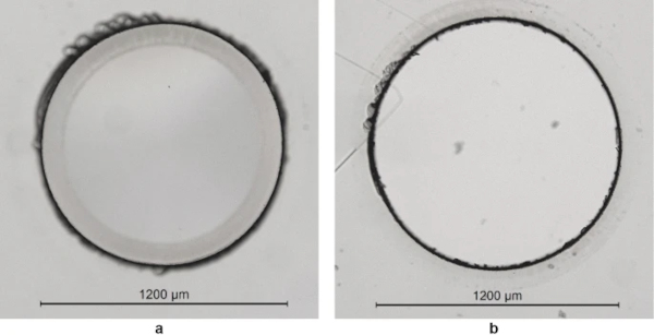 Fig. 6