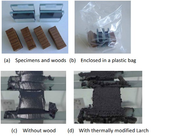 Fig. 6: Conditions of the specimens before and after testing.