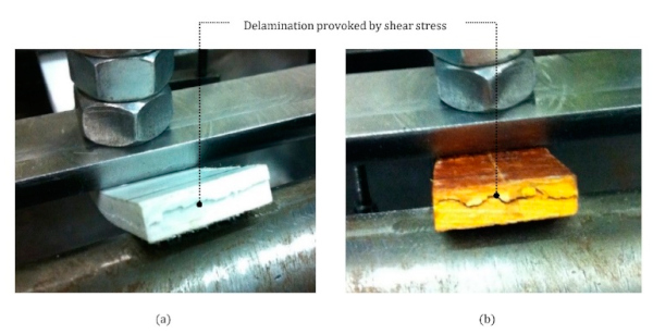 Figure 7. Horizontal shear stress failure in (a) polyester resin and (b) phenolic resin specimens.