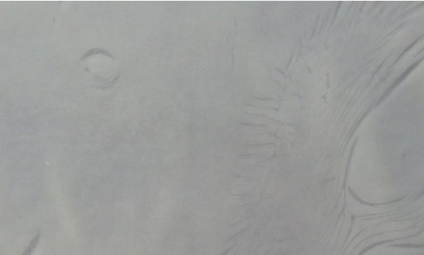 Figure 7 No sufficient visual quality at sample with EVA 2 and paint sprayed between two films