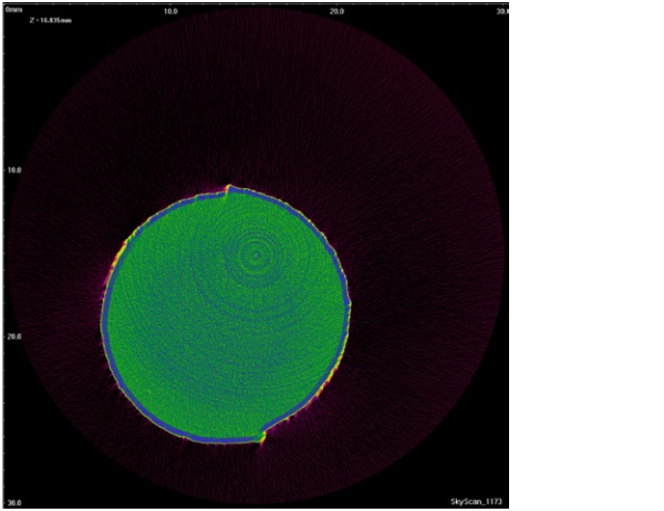 Figure 7: x 100