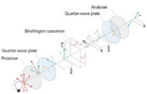 Figure 8 Schematic setup of circular polariscope (Schaaf 2017)