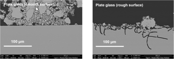 Fig. 8: Narrow 3–5 µm diameter vermiform features on the surface of a rough surface on plate glass (Glass 5).