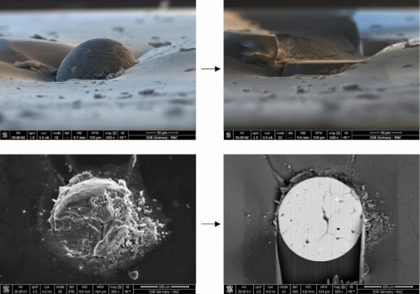 Fig. 8