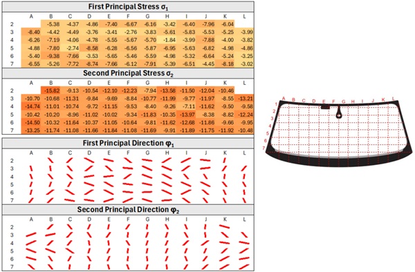 Fig. 8: First and second principal stresses and directions across the windscreen on pos. 1.