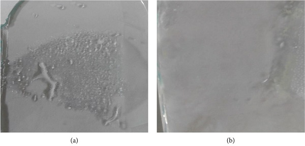 Figure 9   The formation of fog on the (a) bare glass and (b) coated glass.