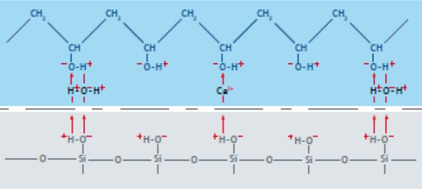 Figure 2 Example of poor adhesion caused by moisture and ions