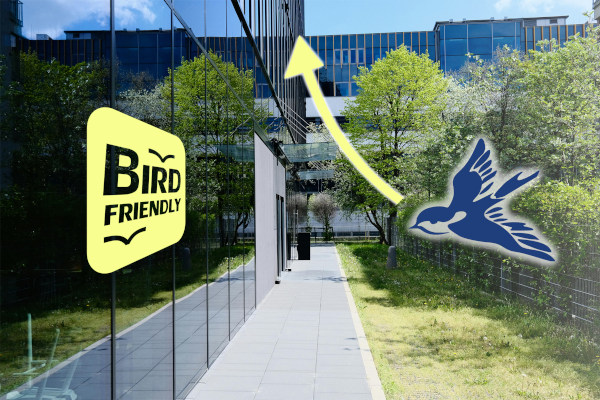 Using laser printing, BIRDfriend mobile creates a triple-action protective pattern on the glass to prevent bird strikes – without damaging the surface.