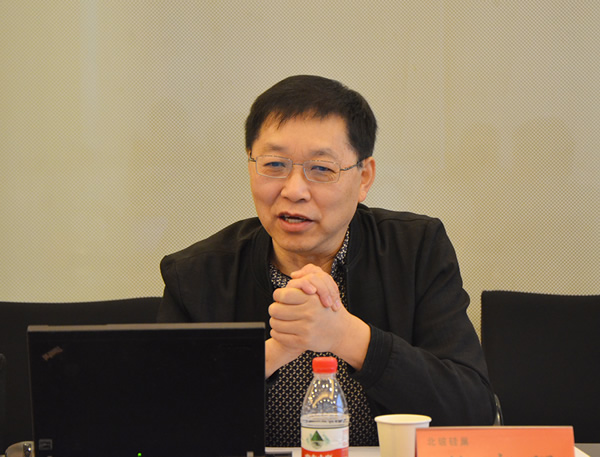 Xiong Cunqiang, Vice Chairman of North Glass Si-Nest, made a statement about the Si-Nest project