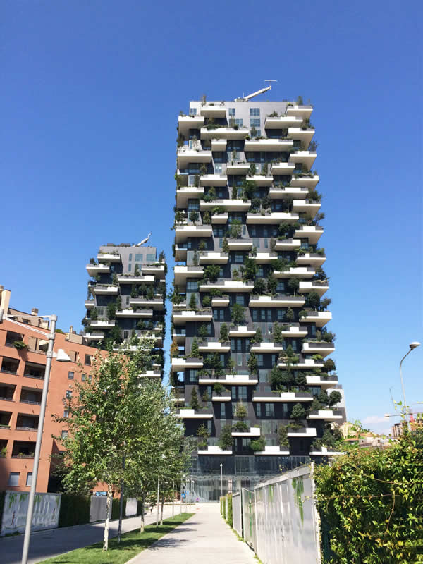 Living in a vertical forest in the middle of the city: window sashes up to 3000 mm high for a pleasant view of the greenery