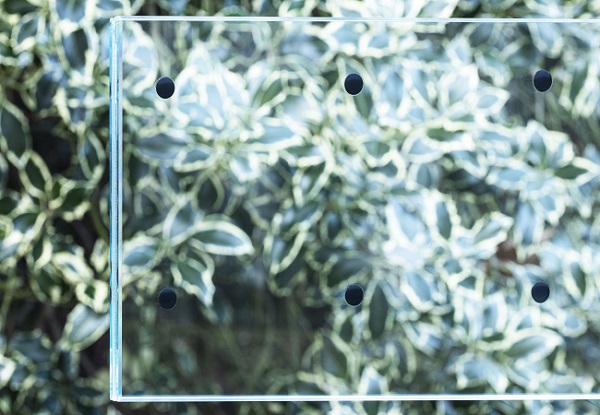 Eastman: Making bird-friendly glass beautiful