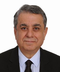 Prof. Dr. Sener Oktik 