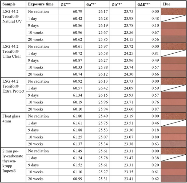 Table 7