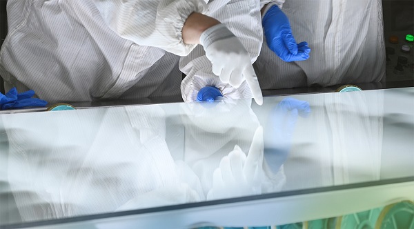 Tianjin NorthGlass won the single champion in manufacturing industry