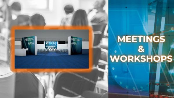 MEETINGS AND WORKSHOPS
