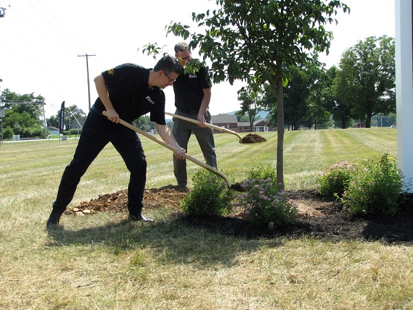 Two Vitro Carlisle employees help plant trees commemorating 50 years of continuous operation. 
