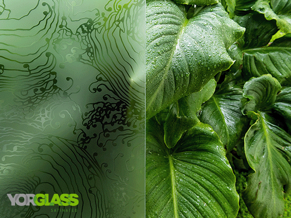 Yorglass combines designs with inspiration from nature