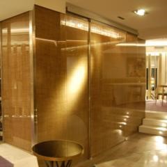 Automatic Doors for Hotel and Home Interiors