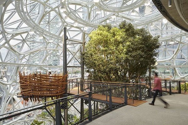 Biophilia and Glass: Supporting a Connection to Nature