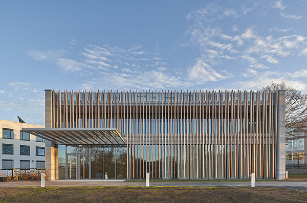 On the street side, the wooden lamellae allow for elegant visual privacy.