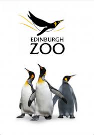 ‘Creature comforts’: aluplast Ideal 70 specified by Edinburgh Zoo