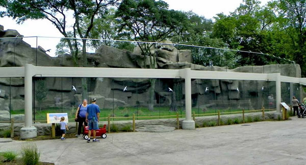 At the Detroit Zoo's updated and expanded lion habitat, SentryGlas® ionoplast interlayer from Trosifol™ is used for maximum protection in a nearly invisible barrier screen.