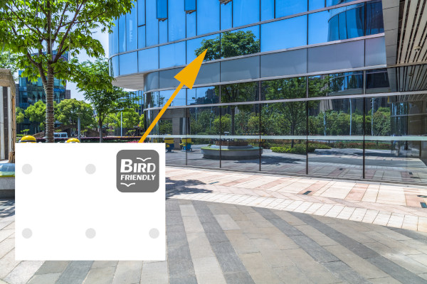 Bird protection pattern in laser print at position 1: threefold protection for birds and pleasing aesthetics for people