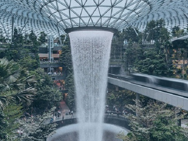 Biophilia and Glass: Supporting a Connection to Nature - Vimarsana News